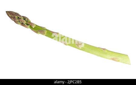 Asperges isolées sur fond blanc. Masque Banque D'Images