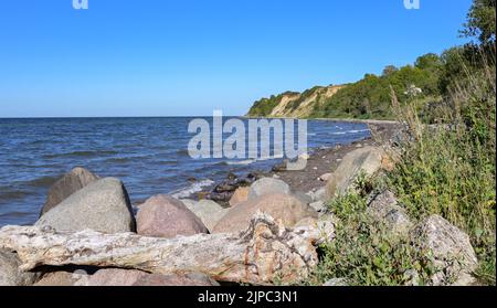 Pierres et bois de grève sur la plage dans la baie avec côte escarpée près de la station touristique boltenhagen sur la mer Baltique Allemagne, espace copie, focu sélectionné Banque D'Images