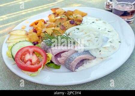 Filet de hareng mariné ou matjes avec sauce à la crème et oignons, servi avec des pommes de terre frites et de la salade sur une assiette blanche, espace de photocopie, sélection de foyer, narro Banque D'Images