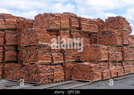 Les briques d'argile rouge sont empilées sur des palettes en bois. Production de briques d'argile. Briques rouges perforées avec trous rectangulaires sur des palettes en bois dans une opération Banque D'Images