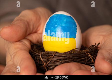 Un oeuf de poulet blanc avec un drapeau peint de l'Ukraine dans un panier de paille entre les mains d'une vieille femme, la culture et les vacances , arrêter la guerre Banque D'Images