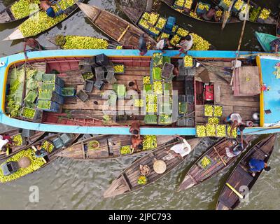 Barisal, Barisal, Bangladesh. 17th août 2022. Un marché flottant de la goyave dans le sud du district de Barisal, connu sous le nom de ''la Venise du Bengale'', est maintenant en effervescence avec les acheteurs et les vendeurs à Swarupkathi, Barisal, Bangladesh, alors que la récolte de la goyave est à son apogée. Il y a des centaines de bateaux remplis de goyave et tous les métiers se produisent sur des bateaux. Comme Barisal est le plus grand producteur de variétés indigènes de goyave du pays, avec un volume de production annuel dépassant 15 000 tonnes métriques, les agriculteurs dépendent fortement de l'agriculture de goyave. Les guavas sont cultivés dans des vergers qui s'assoient le long de la rivière et qui sont des trayons Banque D'Images