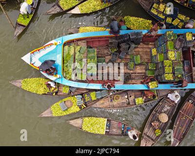 Barisal, Barisal, Bangladesh. 17th août 2022. Un marché flottant de la goyave dans le sud du district de Barisal, connu sous le nom de ''la Venise du Bengale'', est maintenant en effervescence avec les acheteurs et les vendeurs à Swarupkathi, Barisal, Bangladesh, alors que la récolte de la goyave est à son apogée. Il y a des centaines de bateaux remplis de goyave et tous les métiers se produisent sur des bateaux. Comme Barisal est le plus grand producteur de variétés indigènes de goyave du pays, avec un volume de production annuel dépassant 15 000 tonnes métriques, les agriculteurs dépendent fortement de l'agriculture de goyave. Les guavas sont cultivés dans des vergers qui s'assoient le long de la rivière et qui sont des trayons Banque D'Images