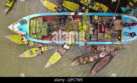 Barisal, Barisal, Bangladesh. 17th août 2022. Un marché flottant de la goyave dans le sud du district de Barisal, connu sous le nom de ''la Venise du Bengale'', est maintenant en effervescence avec les acheteurs et les vendeurs à Swarupkathi, Barisal, Bangladesh, alors que la récolte de la goyave est à son apogée. Il y a des centaines de bateaux remplis de goyave et tous les métiers se produisent sur des bateaux. Comme Barisal est le plus grand producteur de variétés indigènes de goyave du pays, avec un volume de production annuel dépassant 15 000 tonnes métriques, les agriculteurs dépendent fortement de l'agriculture de goyave. Les guavas sont cultivés dans des vergers qui s'assoient le long de la rivière et qui sont des trayons Banque D'Images