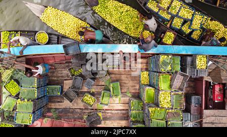 Barisal, Barisal, Bangladesh. 17th août 2022. Un marché flottant de la goyave dans le sud du district de Barisal, connu sous le nom de ''la Venise du Bengale'', est maintenant en effervescence avec les acheteurs et les vendeurs à Swarupkathi, Barisal, Bangladesh, alors que la récolte de la goyave est à son apogée. Il y a des centaines de bateaux remplis de goyave et tous les métiers se produisent sur des bateaux. Comme Barisal est le plus grand producteur de variétés indigènes de goyave du pays, avec un volume de production annuel dépassant 15 000 tonnes métriques, les agriculteurs dépendent fortement de l'agriculture de goyave. Les guavas sont cultivés dans des vergers qui s'assoient le long de la rivière et qui sont des trayons Banque D'Images