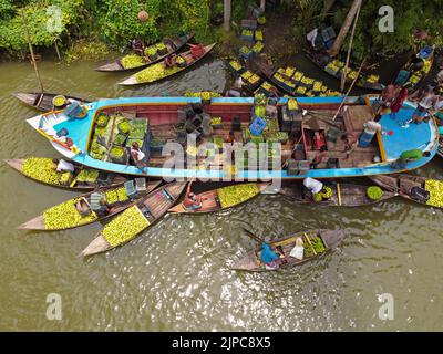 Barisal, Barisal, Bangladesh. 17th août 2022. Un marché flottant de la goyave dans le sud du district de Barisal, connu sous le nom de ''la Venise du Bengale'', est maintenant en effervescence avec les acheteurs et les vendeurs à Swarupkathi, Barisal, Bangladesh, alors que la récolte de la goyave est à son apogée. Il y a des centaines de bateaux remplis de goyave et tous les métiers se produisent sur des bateaux. Comme Barisal est le plus grand producteur de variétés indigènes de goyave du pays, avec un volume de production annuel dépassant 15 000 tonnes métriques, les agriculteurs dépendent fortement de l'agriculture de goyave. Les guavas sont cultivés dans des vergers qui s'assoient le long de la rivière et qui sont des trayons Banque D'Images