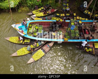 Barisal, Barisal, Bangladesh. 17th août 2022. Un marché flottant de la goyave dans le sud du district de Barisal, connu sous le nom de ''la Venise du Bengale'', est maintenant en effervescence avec les acheteurs et les vendeurs à Swarupkathi, Barisal, Bangladesh, alors que la récolte de la goyave est à son apogée. Il y a des centaines de bateaux remplis de goyave et tous les métiers se produisent sur des bateaux. Comme Barisal est le plus grand producteur de variétés indigènes de goyave du pays, avec un volume de production annuel dépassant 15 000 tonnes métriques, les agriculteurs dépendent fortement de l'agriculture de goyave. Les guavas sont cultivés dans des vergers qui s'assoient le long de la rivière et qui sont des trayons Banque D'Images