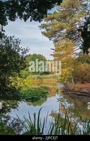 Le lac ornemental sur Southampton Common, Southampton, Royaume-Uni Banque D'Images