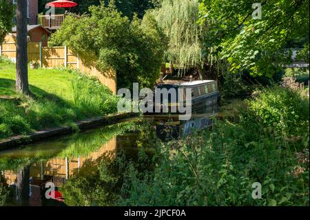 Le bateau à Narrowboat amarré sur le canal du Caldon dans le Staffordshire sous un soleil éclatant parmi les arbres et les arbustes. Banque D'Images