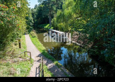 Le bateau à Narrowboat amarré sur le canal du Caldon dans le Staffordshire sous un soleil éclatant parmi les arbres et les arbustes. Banque D'Images