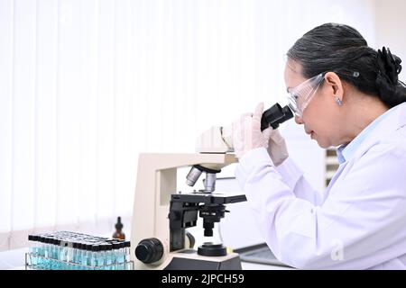 Scientifique senior professionnel ou spécialiste sous microscope, analyse et recherche d'échantillons dans une boîte de Petri en laboratoire. Banque D'Images