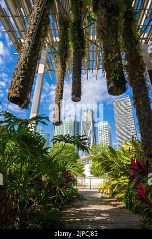 Installation artistique de Hanging Gardens, Perez Art Museum, centre-ville de Miami City, Floride du Sud, États-Unis Banque D'Images