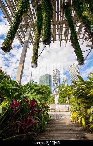 Installation artistique de Hanging Gardens, Perez Art Museum, centre-ville de Miami City, Floride du Sud, États-Unis Banque D'Images