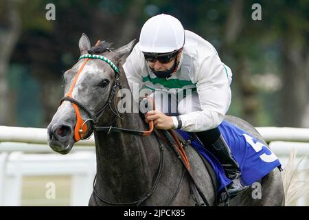 Photo du dossier datée du 13-08-2020 de la circonscription de Ryan Tate, Alpinista remporte les piquets britanniques EBF Upavon Fillies. Alpinista n'a jamais vraiment obtenu le crédit qu'elle mérite pour sa frénésie gagnante du Groupe un, mais tout cela peut changer avec la victoire dans le Yorkshire de Darley Oaks à York. Date de publication : mercredi 17 août 2022. Banque D'Images