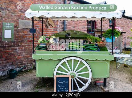 Légumes fraîchement cueillis à vendre à l'extérieur sur la meule verte barrow, jardin clos cuisine produits, chou-fleur, courgettes, carottes, pommes de terre, haricots verts Banque D'Images