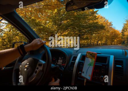 conduite voiture automne forêt sur route navigation latérale sur le téléphone Banque D'Images
