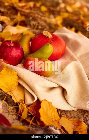 petite citrouille, pomme rouge, poire sur toile légère dans les feuilles tombées du parc. photo verticale de faible profondeur de champ Banque D'Images