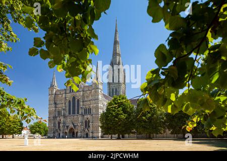 Été midi à la cathédrale de Salisbury, Wiltshire, Angleterre. Banque D'Images