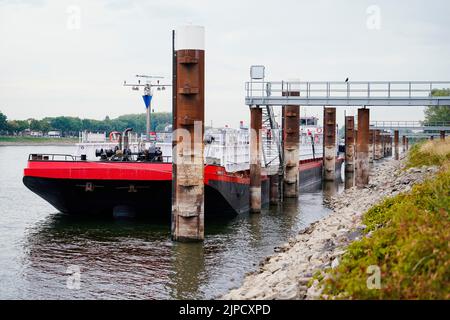 Mannheim, Allemagne. 17th août 2022. Un pétrolier à gaz nommé « Gas 79 » est ancré sur le Rhin, devant l'usine de la société chimique BASF. Credit: Uwe Anspach/dpa/Alamy Live News Banque D'Images