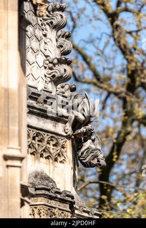 Gargoyle, détail animal sur l'abbaye de Westminster. Église abbatiale gothique de la Cité de Westminster, Londres, Royaume-Uni. Chapelle Henry VII à l'extrémité est de l'abbaye Banque D'Images