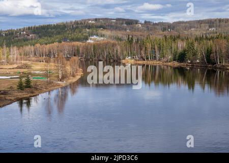 Les clients de Riverboat Discovery s'arrêtent pour une visite au village indien de Chena à Fairbanks, en Alaska Banque D'Images