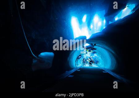 Les gens qui marchent dans le tunnel au fond du gigantesque aquarium et zoo aquatique de Dubaï, aux Émirats arabes Unis, pour observer les poissons et les requins Banque D'Images