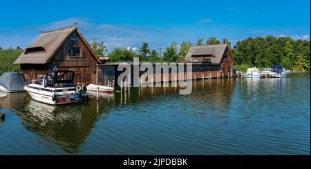 vie domestique, bouée, schweriner voir, à la maison, vie domestique, vivant, serres de bateaux, schweriner voit Banque D'Images