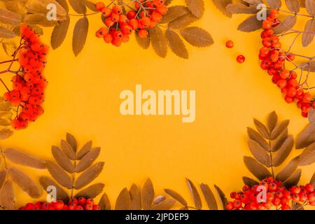 Composition d'automne pour le fond. Cadre photo. Des branches de frêne de montagne avec baies sur fond orange. Le concept de Thanksgiving. Layette plate Banque D'Images