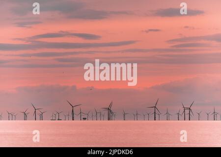 Un ciel rouge et rose forme la toile de fond de la silhouette d'un parc éolien offshore. Banque D'Images