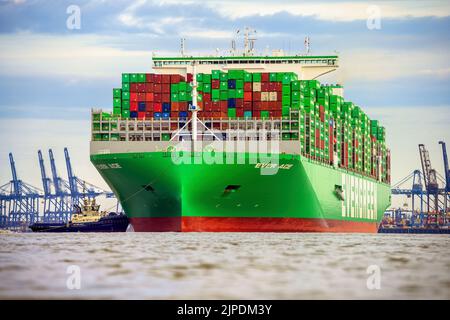 Ever Ace (Evergreen), le porte-conteneurs ultra grand format au port de Felixstowe - septembre 2021. Banque D'Images