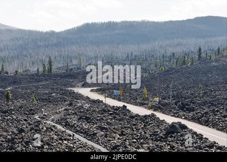 La route 242 traverse un terrain oceux depuis le coulant de lave au sommet du col McKenzie dans les montagnes Cascade de l'Oregon, aux États-Unis. Banque D'Images