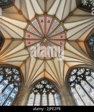 York Minster Chapter House, avec un plafond magnifique et des vitraux Banque D'Images