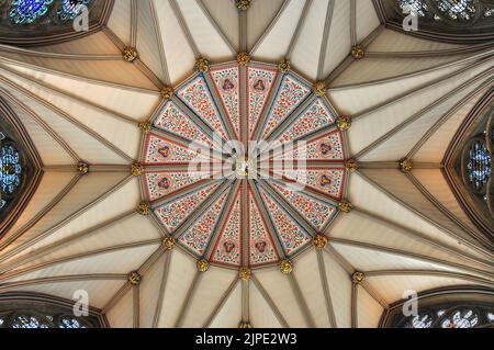 York Minster Chapter House, avec un plafond magnifique et des vitraux Banque D'Images