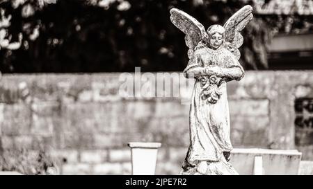 Photos magnifiques et spectaculaires du cimetière du Libéria à Guanacaste, Costa Rica. Banque D'Images