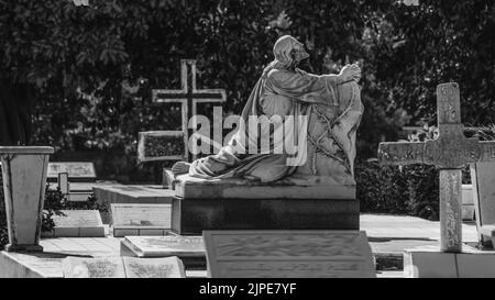 Photos magnifiques et spectaculaires du cimetière du Libéria à Guanacaste, Costa Rica. Banque D'Images