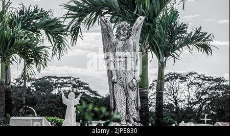 Photos magnifiques et spectaculaires du cimetière du Libéria à Guanacaste, Costa Rica. Banque D'Images