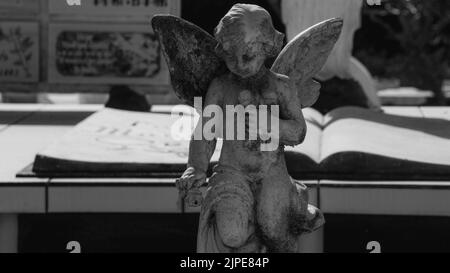 Photos magnifiques et spectaculaires du cimetière du Libéria à Guanacaste, Costa Rica. Banque D'Images