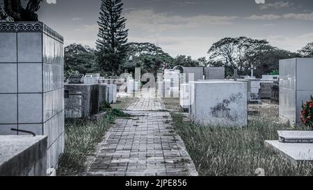 Photos magnifiques et spectaculaires du cimetière du Libéria à Guanacaste, Costa Rica. Banque D'Images