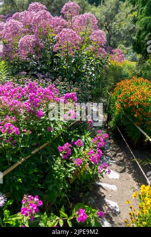 Chemin de jardin d'été coloré dans les plantes fleurs de Phlox Sweet Joe Pye Weed fleur de Helens jardin d'été bordure août Blooming Garden phlox Mid-Summer Banque D'Images