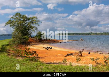 Magnifique lac Kerr en Virginie aux États-Unis. Lac artificiel bordé de plages de sable entouré de forêts. Créé par l'amortissement de la rivière Dan. Banque D'Images