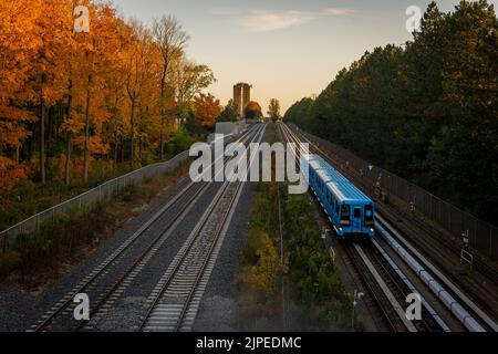 Train rapide bleu traversant la forêt rurale de Scarborough, Ontario, Canada Banque D'Images