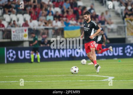 Lodz, Pologne. 17th août 2022. Rafa Silva lors du match de première étape de la Ligue des champions de l'UEFA entre Dynamo Kiev et Benfica au stade LKS sur 17 août 2022 à Lodz, en Pologne. (Photo de Tomasz Kudala/PressFocus/Sipa USA)France OUT, Pologne OUT Credit: SIPA USA/Alay Live News Banque D'Images