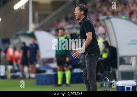 Lodz, Pologne. 17th août 2022. Roger Schmidt lors du match de la Ligue des champions de l'UEFA entre Dynamo Kyiv et Benfica au stade LKS sur 17 août 2022 à Lodz, en Pologne. (Photo de Tomasz Kudala/PressFocus/Sipa USA)France OUT, Pologne OUT Credit: SIPA USA/Alay Live News Banque D'Images