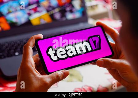 Brésil. 17th août 2022. Dans cette illustration, le logo Team17 s'affiche sur l'écran d'un smartphone. (Credit image: © Rafael Henrique/SOPA Images via ZUMA Press Wire) Banque D'Images