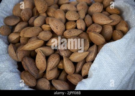 Bucarest, Roumanie - 28 juillet 2022: Un sac d'amandes brutes en carapace. Banque D'Images