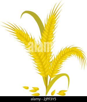 Des épis de blé et de grains ont isolé de la spica dorée. Vector boulangerie céréales nourriture, ingrédient de farine pain plante Illustration de Vecteur