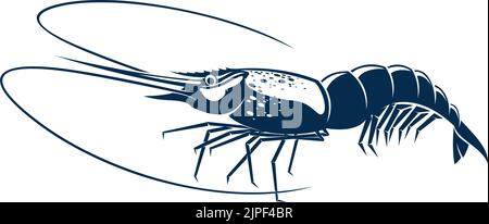 Crustacés et crustacés isolés de crevettes. Crevettes vectorielles, fruits de mer, animal marin sous-marin avec longs whiskers. Palaemon serratus ou Crangon crangon, en-cas d'apéritif, icône de la crevette de mer du tigre Illustration de Vecteur