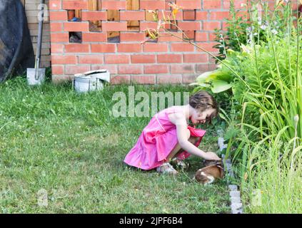 Une jolie fille tout-petit qui a un petit chien chihuahua à l'extérieur. L'amour, le soin pour le concept d'animal de compagnie. Copier l'espace. Banque D'Images