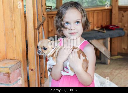 Une jolie petite fille aux yeux bleus tient un petit chien chihuahua dans ses bras. Banque D'Images