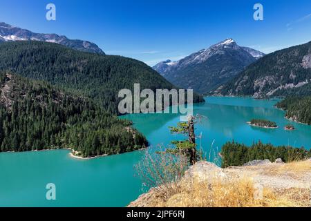 Parc national de North Cascades, lac Diablo, dans l'État de Washington avec des fleurs sauvages mourantes en avant-plan Banque D'Images